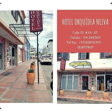 Hotel Orquidea Neiva Neiva  Kültér fotó